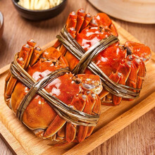 【活蟹】姚鲜品旗舰店  大闸蟹礼盒鲜活特大螃蟹活体现货公母产地直发缺重包赔 2.5两母3.5两公对半 8只装