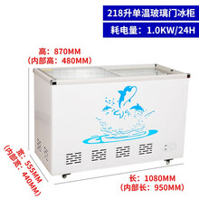 商用冰柜大容量冷柜冰箱冷藏展示柜保鲜冷冻两用透明玻璃卧式岛柜 1米长欧岛  218升