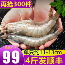 新渔哥 虾 白虾4斤 生鲜虾类冷冻海鲜水产大虾对虾海虾基围虾可剥虾仁 水冻4斤装(净虾3.0斤)11-13cm