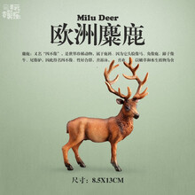 野生动物模型 长颈鹿熊猫袋鼠棕熊梅花鹿 儿童认知玩具3-10岁 欧洲麋鹿