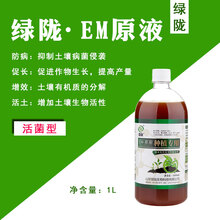 农药种植专用益生菌菌种生根防病微生物菌剂改良土壤营养液em原液原露 EM原液1L/瓶