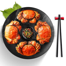 【活蟹】蟹宗大闸蟹鲜活现货螃蟹礼盒 六月黄 1.6-1.9两 10只公母随机