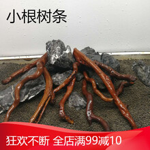水草杜鹃根沉木莫斯树鱼缸草缸造景鱼缸装饰造景沉木鱼缸造景 装饰随机枝条15根 10-15cm