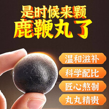 北京同仁堂怡福寿鹿鞭丸鹿鞭膏可搭配鹿参鹿胎膏高纯度鹿茸鹿蹄筋鹿肾鹿鞭丸牛鞭淫羊藿等男性用滋补产品使用 五盒装【3盒价格】