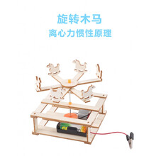 儿童科学实验玩具科技小制作小发明科学小实验套装马达玩具diy儿童手工材料小学生幼儿园STEAM教玩具 JG-旋转木马