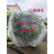 水果树网罩杨梅网罩防虫网莲雾蓝莓网桃树防鸟网网罩大棚网罩蚊帐 3*3米(一张网片)