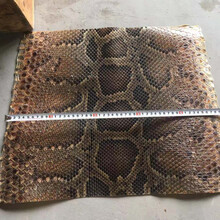 乐器皮二胡蟒皮二胡蛇皮蛇皮高胡蛇皮潮州二弦蟒皮 三弦.热瓦普用(25宽20长)
