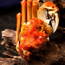 鲜美惊 【全母全公大蟹】大闸蟹鲜活现货螃蟹0.8-4.0两礼盒 (公3.0 母2.0)10只装