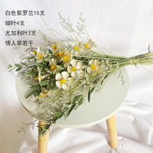 玫瑰干花花束 ins北欧简约风复古客厅家居装饰摆件 永生棉花勿忘SN0736 白色紫罗兰15支+细叶款花束 干花包