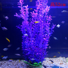 鱼缸里的仿真水草鱼缸海草活的鱼缸里放的鱼草鱼缸内水生植物水下 大号52cm高紫瓜子草
