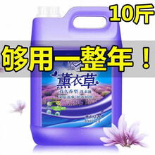 【10斤大桶装】薰衣草洗衣液香味持久留香深层洁净增艳去污 5KG*1桶【共10斤装】