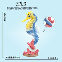 Oenux儿童认知仿真海底世界海洋动物玩具模型套装摆件 M-880大海马