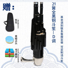 天津王氏笙乐器王氏民乐14簧方笙17簧21簧圆笙扩音笙初学专业演奏 21簧全黑铜斗笙-D调