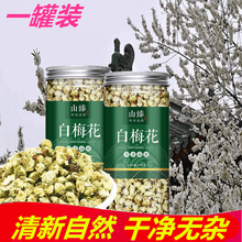 同仁堂玫瑰花与白梅花茶 梅花干花同仁堂红梅花腊梅花茶白梅花苗玫瑰花白梅花绿萼梅同仁堂白 梅花茶 白梅花40g*1罐