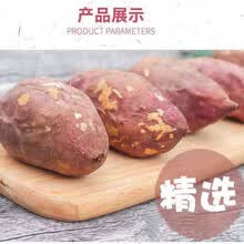 【粉糯香甜】四川现挖新鲜白心红薯沙地番薯地瓜白薯甜蜜薯板栗薯 【精选大果】5斤