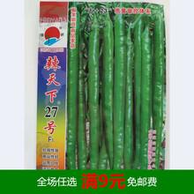 润线888辣天下27号辣美10长线椒辣椒种籽高产春秋顺直香辣线椒种 辣天下27号袋装1000粒