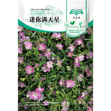 花友秀 满天星种子 花卉种子 四季易种 盆栽花卉 迷你粉色满天星种子100粒