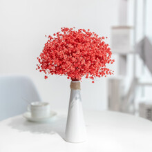 满天星干花装饰摆件客厅摆设永生花家居装饰花干花花束云南干花真花永生花带花瓶 红色满天星+艺术花瓶