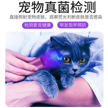 小许医生猫藓狗藓真菌皮肤病快速检测确诊伍德氏灯线下医院皮肤病检查家用宠物皮肤病快速检查 魅力紫