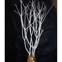 好韵三叉干花干枝简约时尚装饰玄关隔断树枝艺术落地促销 1.2M单支