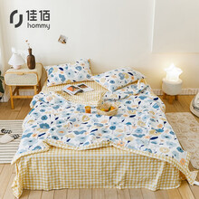 佳佰 家系列 空调被 全棉夏凉被子纯棉夏被双人被芯可水洗夏天薄棉被薄被子 蓝颜 150*200cm