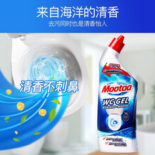 膜太（Mootaa）欧洲进口洁厕宝清香型洁厕灵除臭除垢洁厕液卫生间去污厕所马桶清洁剂洁厕精 1瓶装750ml