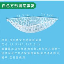 乐淘圆形鸽蛋窝鸽子蛋窝纯料白色塑料蛋窝鸽笼用蛋窝销售鸽笼用蛋巢蛋 圆形鸽窝