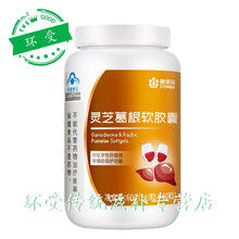 肝片枳椇子千杯戒酒肝喝酒前不葛根房茶神器