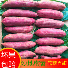 广西红薯新鲜10斤沙地黄糖心蜜薯烟薯甜瓜农家薯板栗小香番薯山芋