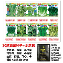 揭美10种阳台园艺种菜种子 秋冬季四季蔬菜种子套餐 易种小白菜香菜小葱庭院种菜菜籽 也可农田种植 10款蔬菜种子+水溶肥料500克+种植说明书