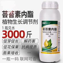 农药芸苔素内酯植物生长调节剂草莓柑橘增产保花保果农资店专用叶面肥 500g