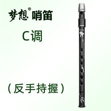 梦想哨笛C调D调爱尔兰锡笛儿童学生初学入门六孔竖笛演奏 C调(反手，左撇子)
