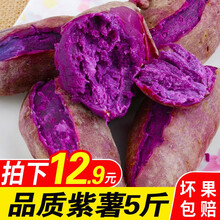 农家紫薯新鲜地瓜小香薯香芋软糯香甜毛重 5斤小果(带箱)