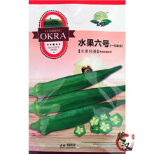 一播大地 黄秋葵蔬菜种子 水果秋葵种子绿色人参种子 阳台盆栽种子 易种 水果六号秋葵种子原装10g