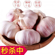 【大蒜】2021新干蒜紫白皮大蒜头大蒜头大蒜种子 当天发货 精选大蒜 10斤