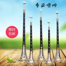 唢呐乐器优质乌木唢呐初学者成人唢呐全套民族乐器抖音同款 乌木C调+九重礼品