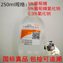 l100ml规格宠物用吊瓶5%葡萄糖氯化钠溶液细小犬瘟猫瘟输液 250ml5%葡萄糖氯化钠