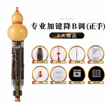 新艺乐器 专利设计超九孔加3键葫芦丝专业演奏型 紫竹9孔宽音域乐器 【天然葫芦+紫竹降B调】正手加3键