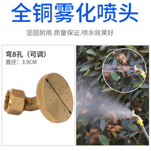 笠农 电动喷雾器铜喷头 农用多孔打药喷头 高压雾化可调节降温除尘单双直喷嘴 铜双喷 铜喷头可调弯8孔 .