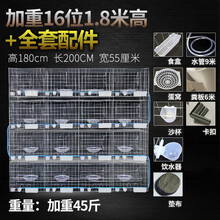 米妮鸽子笼大号加粗养殖笼家用特大号鸽笼加粗鸽子用品用具肉信鸽繁殖配对笼12位16位 加重16位1.8米高+全套配件