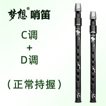 梦想哨笛C调D调爱尔兰锡笛儿童学生初学入门六孔竖笛演奏 C调+D调(正常持握)