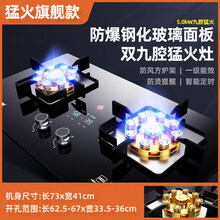 半球煤气灶双灶家用燃气灶嵌入式台式天然气液化气猛火炉具天燃气 双九腔猛火玻璃定时 液化气