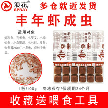 浪花水族冷冻红虫观赏鱼食饲料小鱼食红虫冰冻血虫丰年虾赤虫牛心汉堡罗汉鱼锦鲤金鱼七彩鱼食饲料 3板白板成年丰年虾+喂食工具