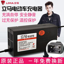立马两孔反插原装原厂电动车电瓶充电器36V48V12AH60V40AH72V30AH96V20ah 立马48V12AH两孔反插专