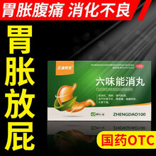 正道邦克 六味能消丸48丸/盒 肚子胀气腹胀胃胀气打嗝治胃疼胃胀消化不良积食不化 5盒装