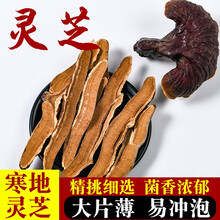 芸参禄 灵芝 长白山半野生灵芝片 整枝灵芝粉 赤灵芝整朵切片灵芝茶 250g