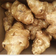 洋姜新鲜现挖5斤不辣的鬼子姜生阳姜菊芋咸菜腌泡酱菜 10斤