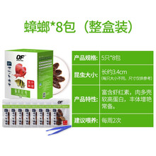 仟湖OF保鲜昆虫龙鱼增艳补充营养鱼粮观赏鱼饲料鱼食促进发色增加龙鱼食欲立竿见影 蟑螂一盒（8包）