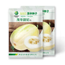 中科茂华瓜果种子茂华甜妃甜瓜种子东北杂交金妃香瓜种椭圆白肉红瓤50粒