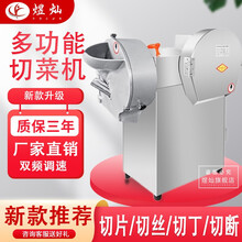 煜灿 电动切菜机商用多功能蔬菜食堂切菜机全自动土豆切片切丝机切菜器切丁机 双头切菜机（适合所有食材）
